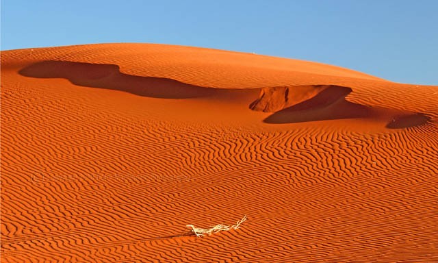 Ediacaran Dune