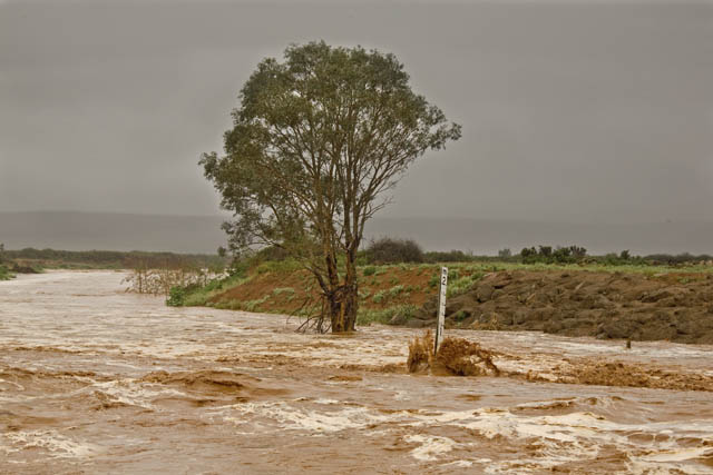 Running Creeks