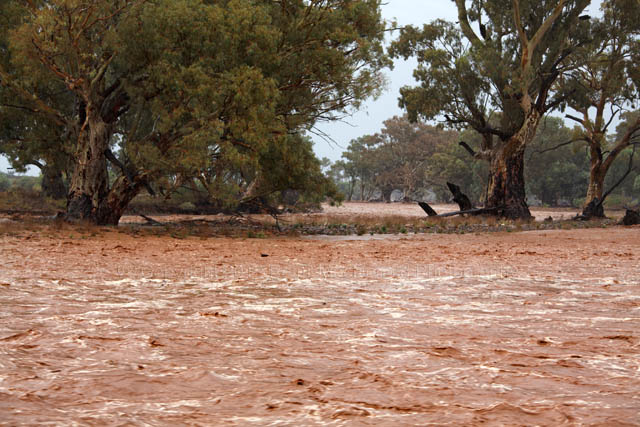 Outback Floodwaters