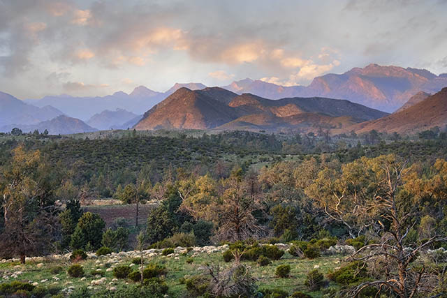 Winter Scene – Flinders Ranges